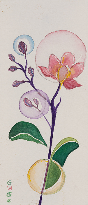 Flores 2